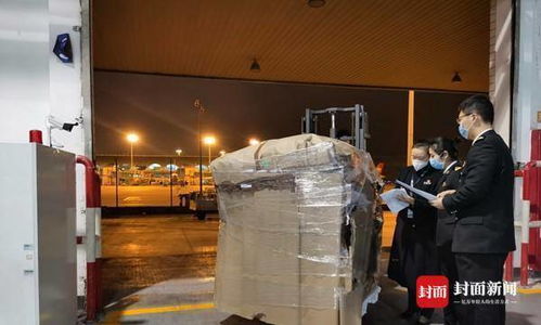 重慶海關(guān)2020年成績單 推進(jìn)放管服改革，貨物進(jìn)出口時效再壓縮68.32小時和0.39小時